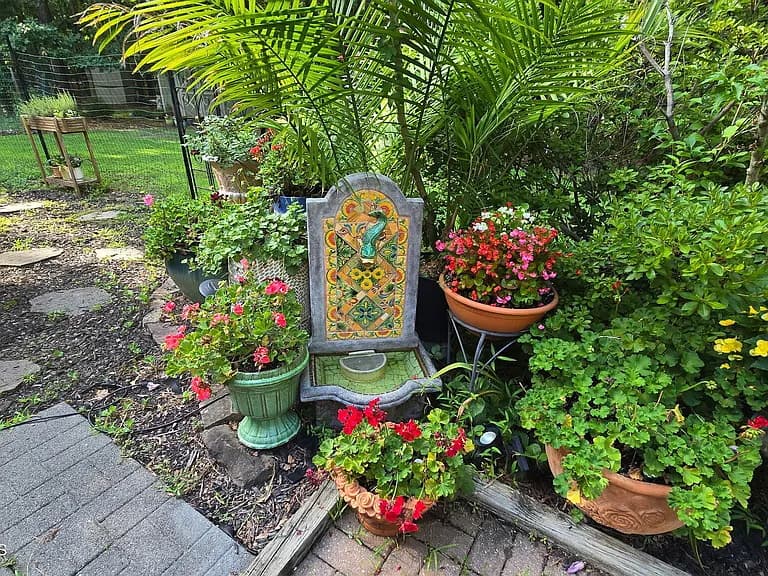 Image 17